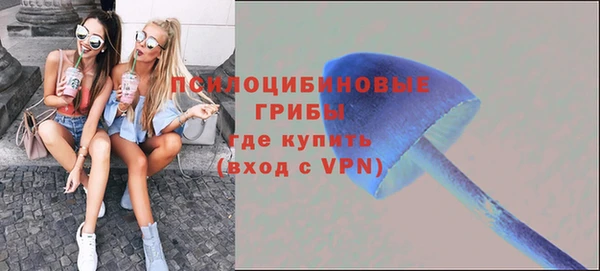 гидра Абинск