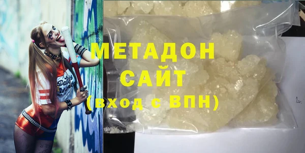 прущие грибы Абаза