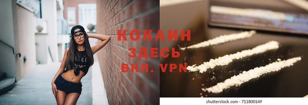 прущие грибы Абаза