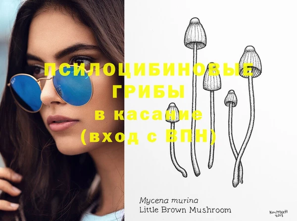 гидра Абинск