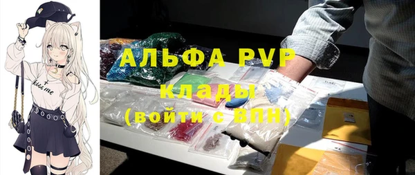 прущие грибы Абаза