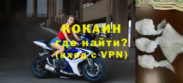 прущие грибы Абаза