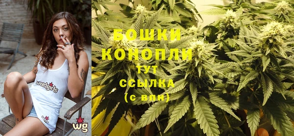 прущие грибы Абаза