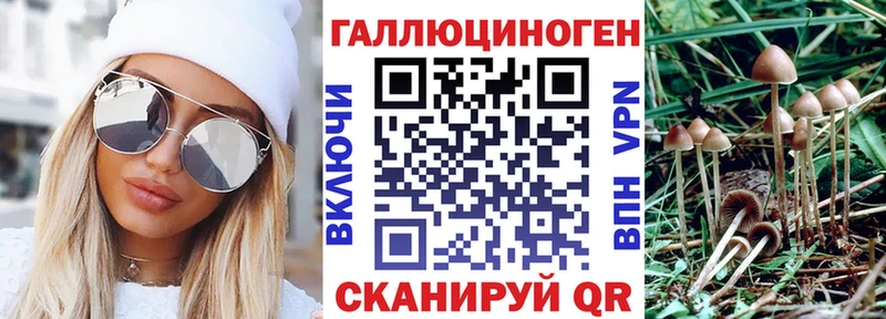 Галлюциногенные грибы мухоморы  где купить наркотик  Ермолино 